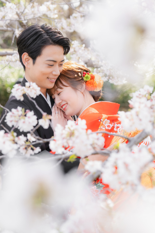 華雅苑　千葉店_桜・青葉の森（3月・4月上旬）