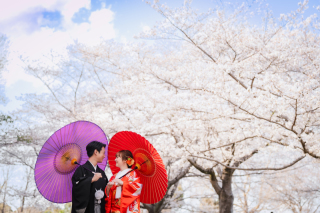 華雅苑　千葉店_桜・青葉の森（3月・4月上旬）