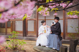 華雅苑　千葉店_四季亭・河津桜(2月下旬～3月上旬)