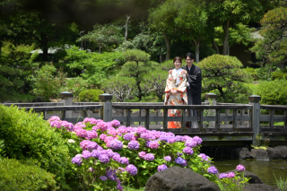華雅苑 千葉店_紫陽花(見浜園)5月下旬~6月中旬頃