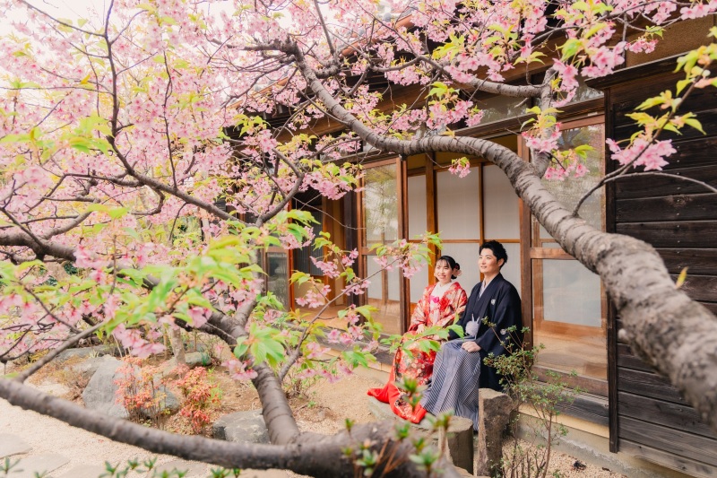 梅・河津桜！【2/24～3/10撮影限定】和洋弐点プラン 四季亭＋スタジオ 衣装2着・データ210枚　韓国風ドレスも豊富
