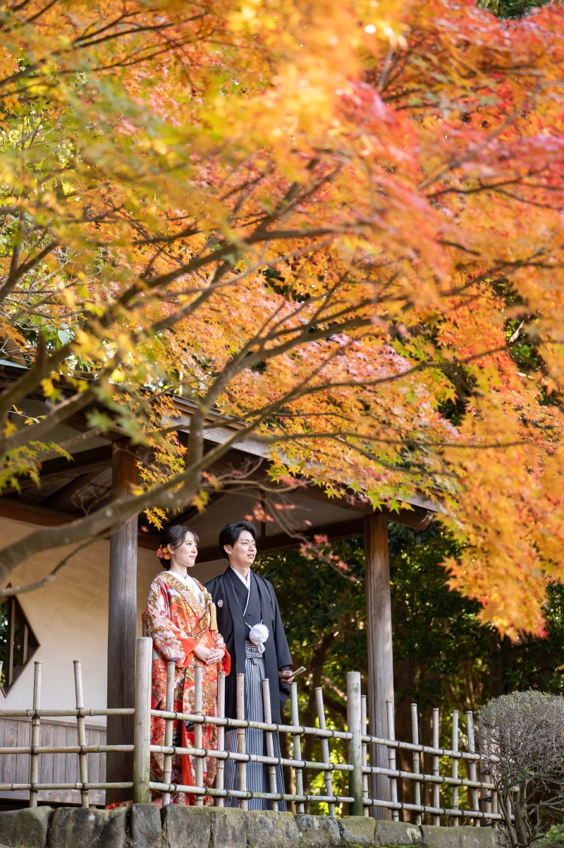 2万円オフ!紅葉シーズン【11/26~12/15平日撮影限定】和装壱点プラン 衣装差額無し !オンライン相談可!衣裳合わせ当日可