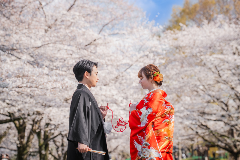 桜CP!2万円オフ!先着20組限定【3/26~4/10平日撮影】和装壱点プラン 衣装1着・撮影データ130カット・衣装差額無し