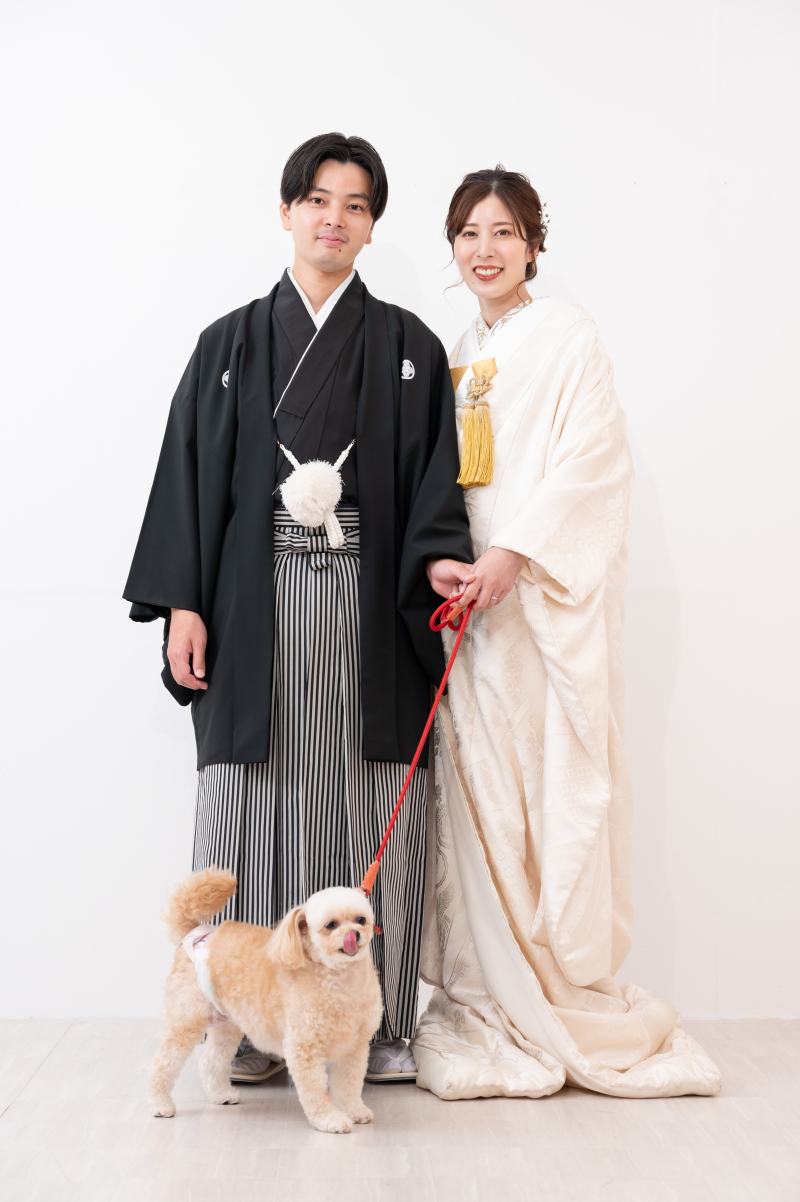 【ワンちゃんと撮影】4月撮影限定!スタジオ和洋弐点プラン 韓国ドレスも豊富♡