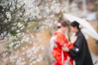 梅・河津桜！【2/24～3/10撮影限定】和装弐点プラン 四季亭＋見浜園 衣装2着・データ230枚　衣装差額無し！