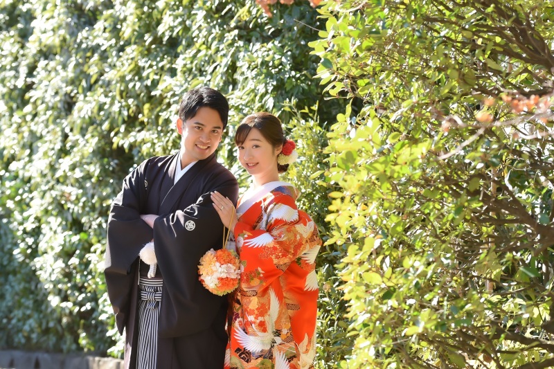 冬でも緑がいっぱい!