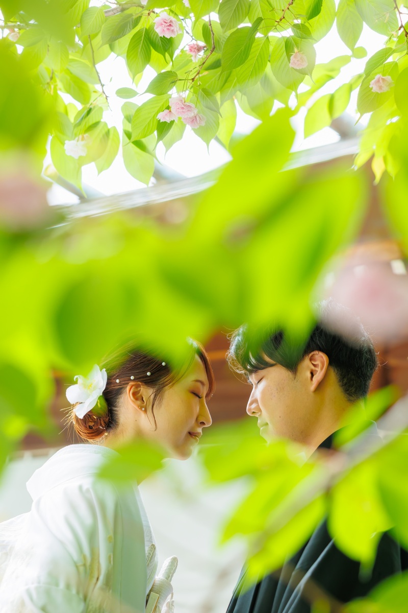 みどりの向こう側