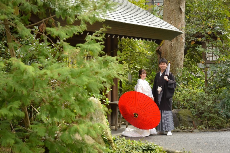 緑もたくさんの阿佐ヶ谷神明宮