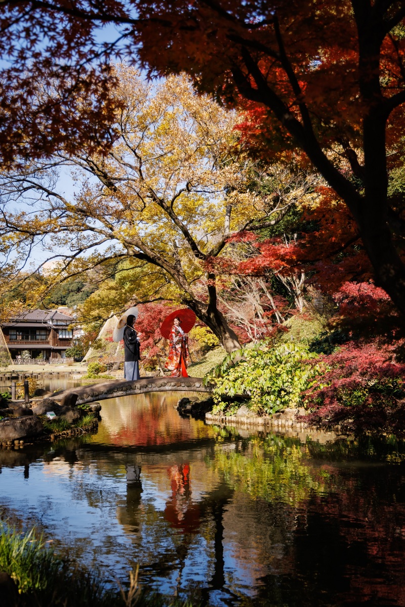 色鮮やかな季節