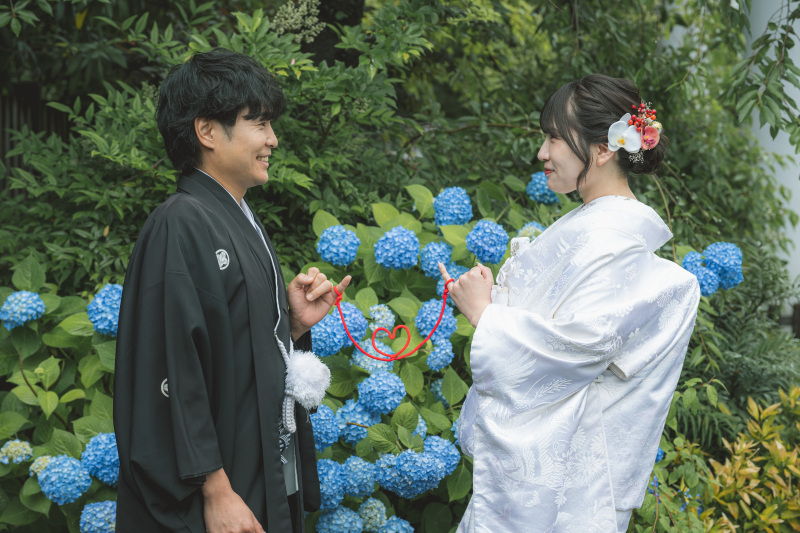 《紫陽花》