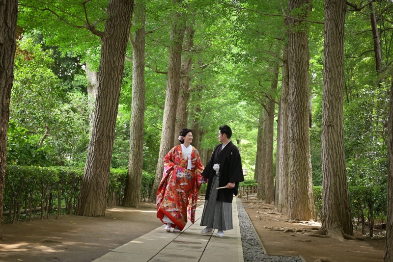 公園内の並木道♡