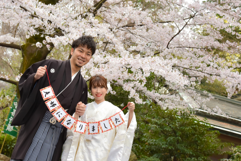 阿佐ヶ谷店では桜と一緒に撮影出来るのは神社だけ♪