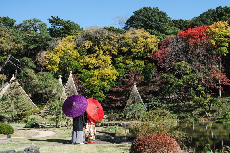 肥後細川庭園の紅葉始まってます