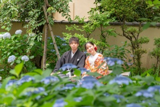 紫陽花が見ごろ