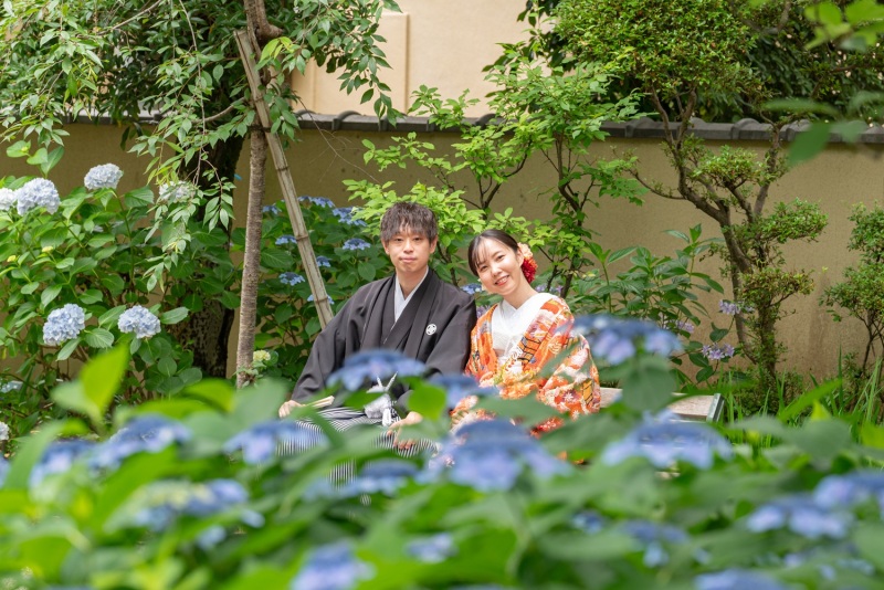 紫陽花が見ごろ