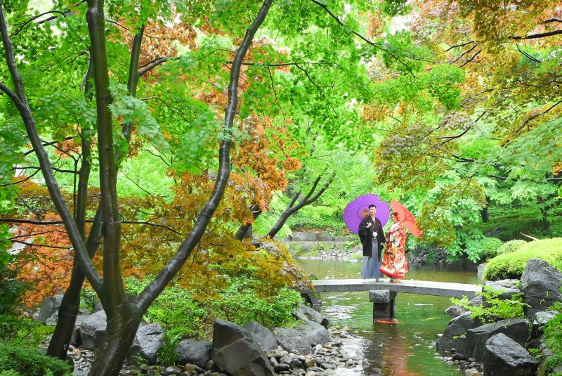 緑が濃く鮮やかに！