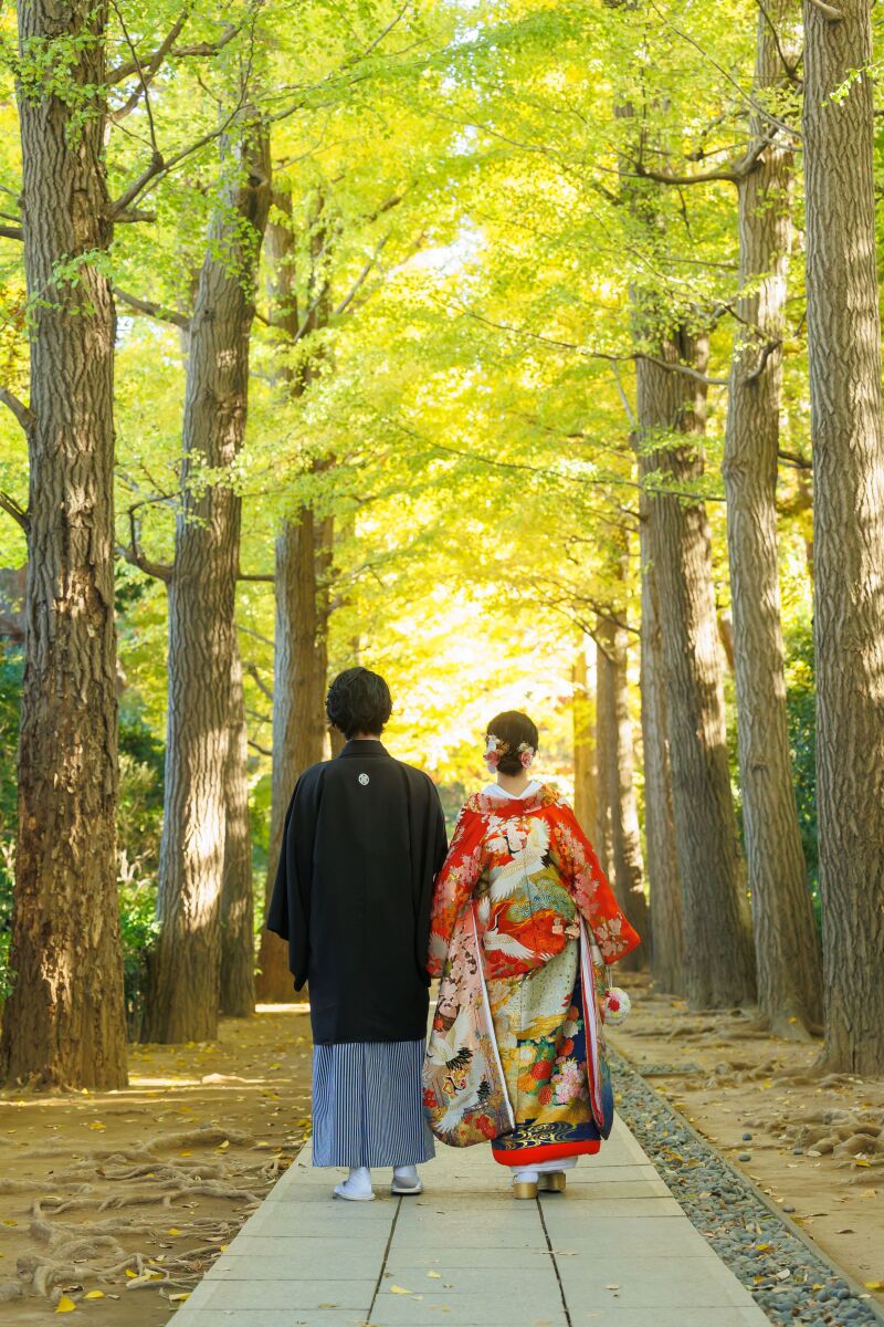 黄緑のイチョウ並木