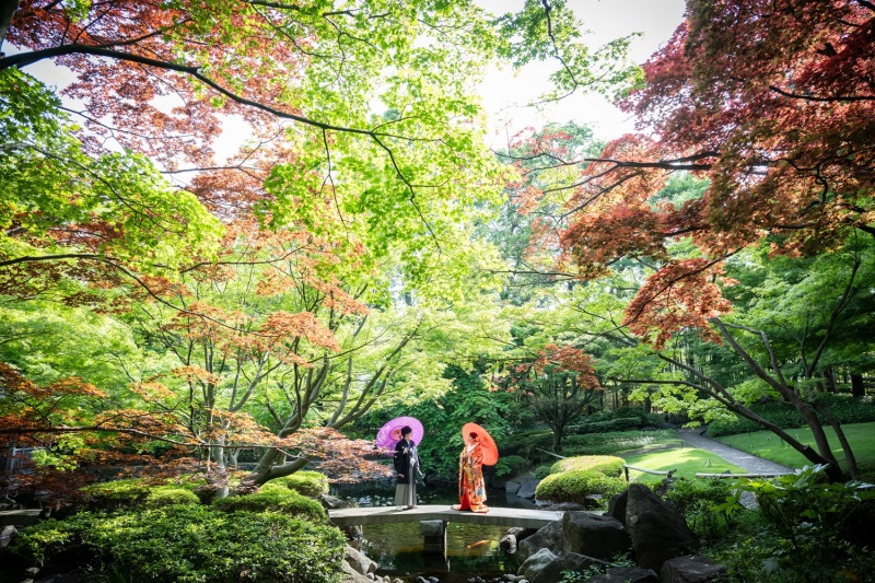 石橋が架かる池