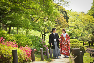 新緑の肥後細川庭園