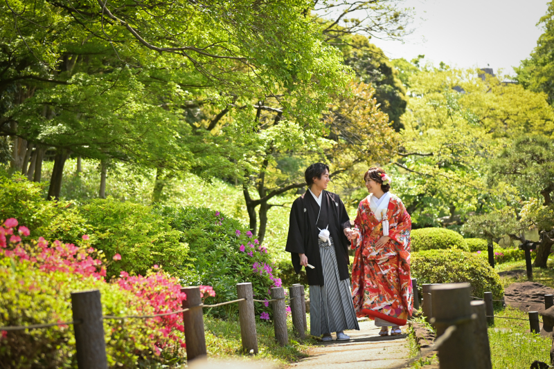 新緑の肥後細川庭園