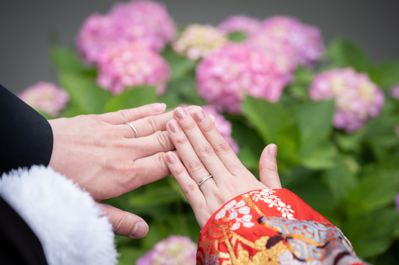 あじさいフォト♪