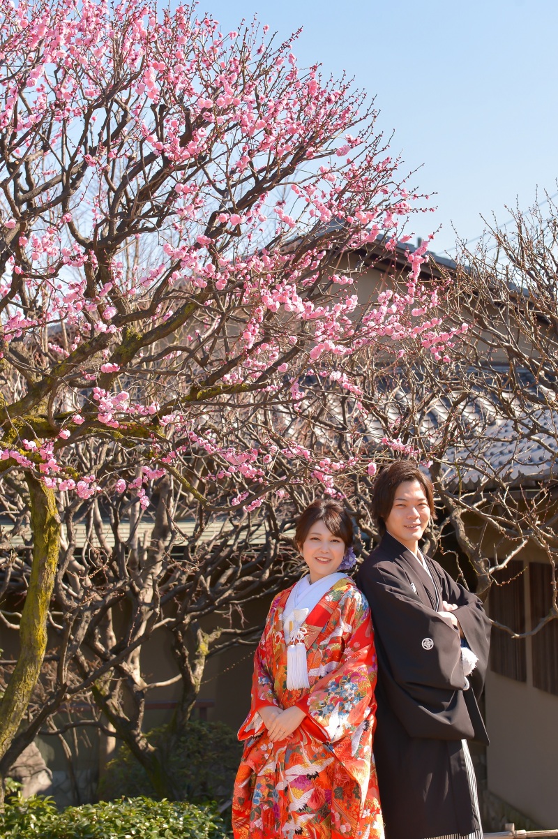 ピンク色の梅の花と一緒に