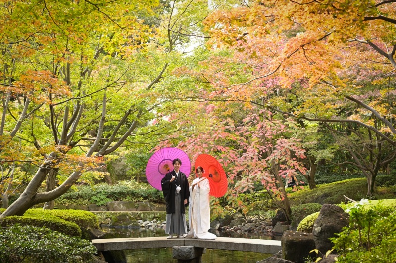 紅葉ロケーション（大田黒公園）