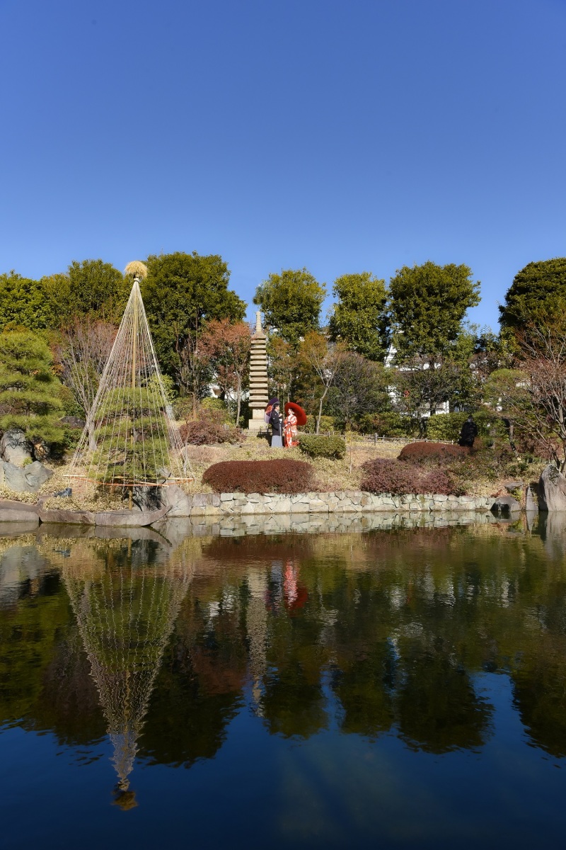 雪吊りで冬の装いに・・・
