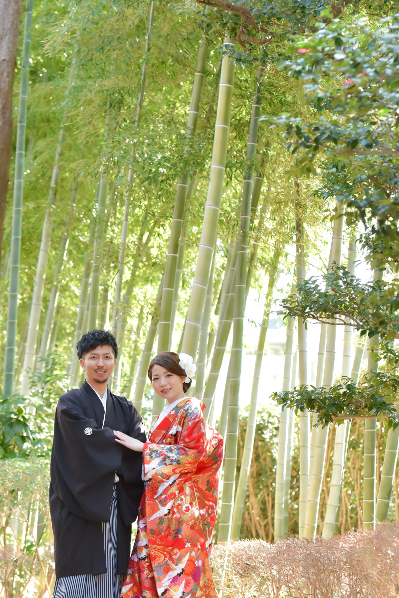 竹林では緑あふれる写真も！