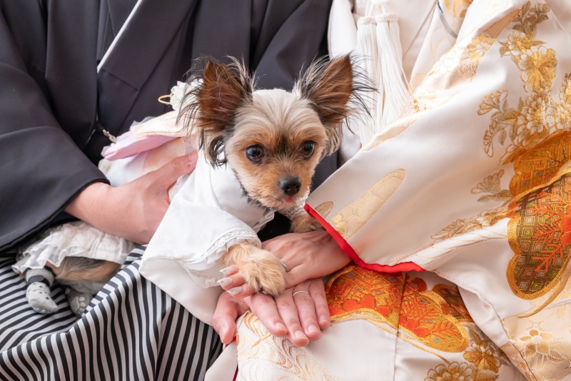 お手元ショット