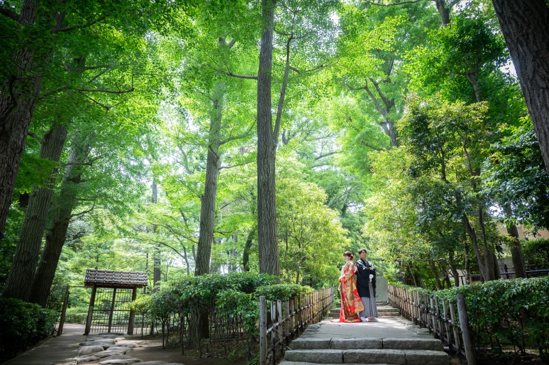 大田黒公園にの深緑