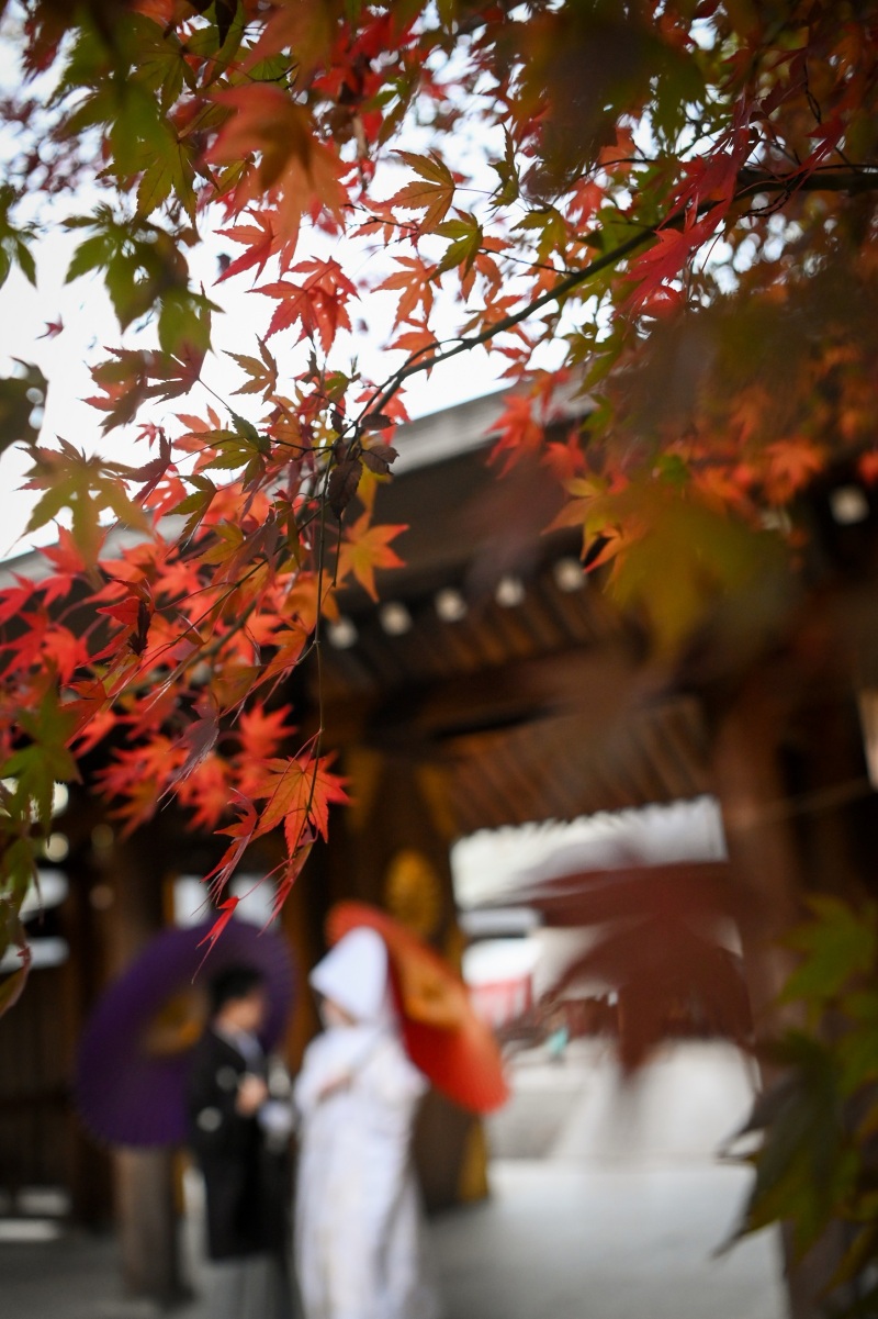 イメージショット♪