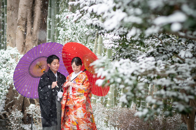 竹林付近もうっすら雪化粧に・・・
