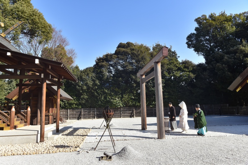 緑豊かな阿佐ヶ谷神明宮で♡