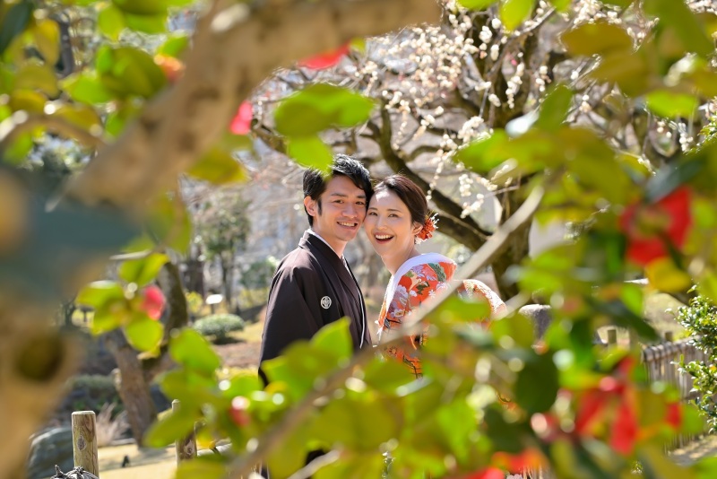 ツバキのお花✿