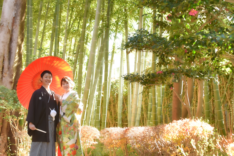 公園内「竹林」