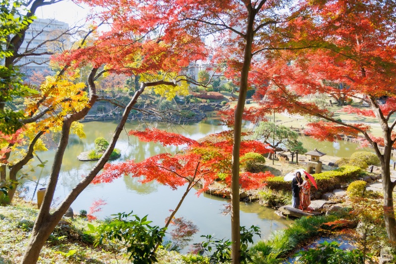 日本庭園のと言えば湖