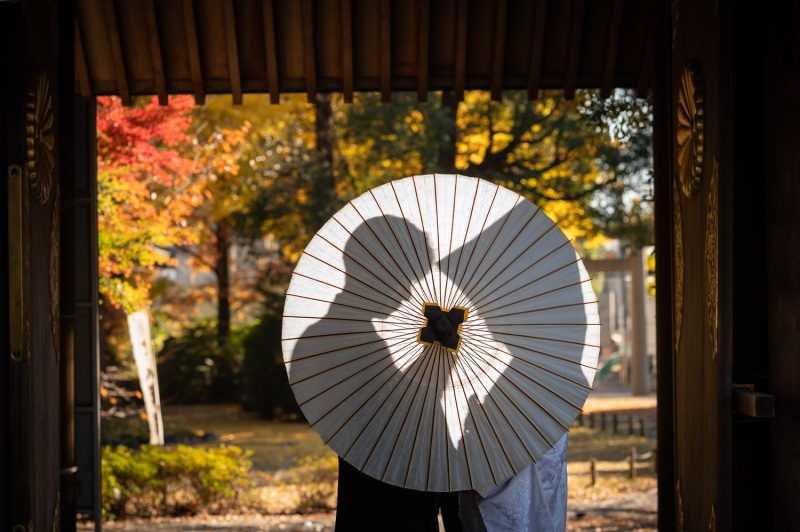 シルエットの撮影☂