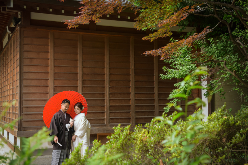 雨上がりで木々もしっとりと・・・