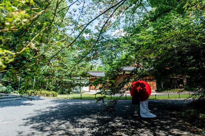 青空・緑・赤のコントラストが素敵☆彡