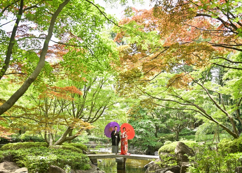 新緑の大田黒公園