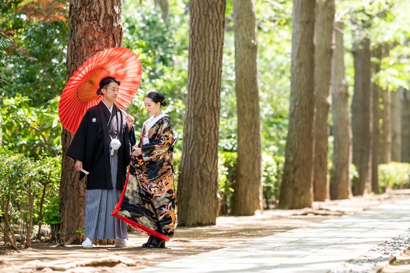 色打掛×並木道