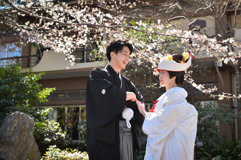 春の阿佐ヶ谷神明宮♪