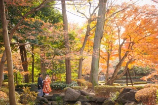 紅葉の大田黒公園