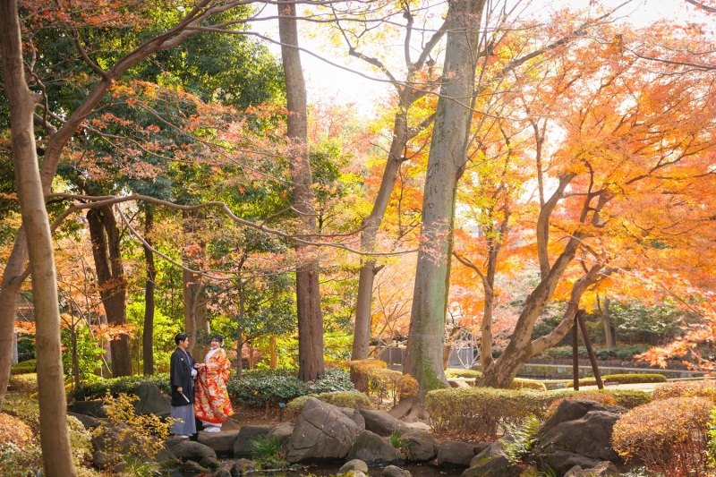 紅葉の大田黒公園