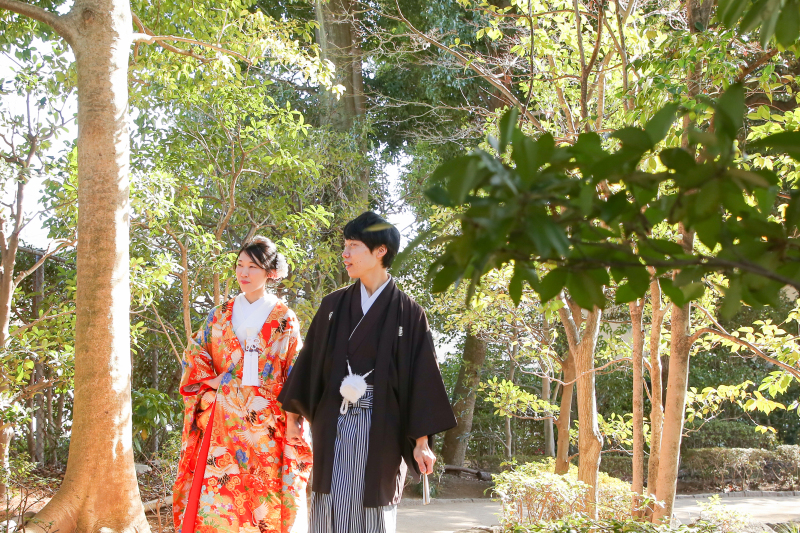 緑を上手くつかったショット♪ 2