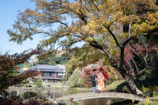紅葉「 肥後細川庭園 × 阿佐ヶ谷神明宮（神社）」♩