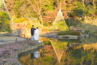 雪吊りで冬の装いに♪