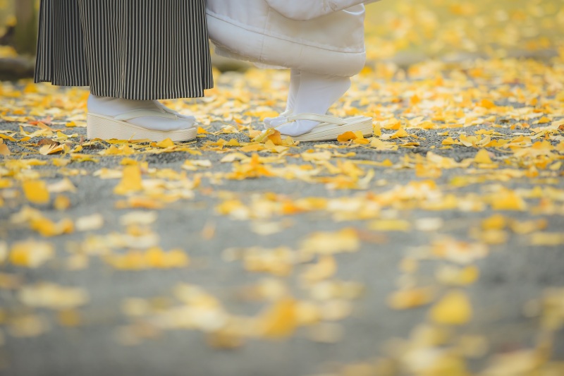 黄色の絨毯で足元ショット