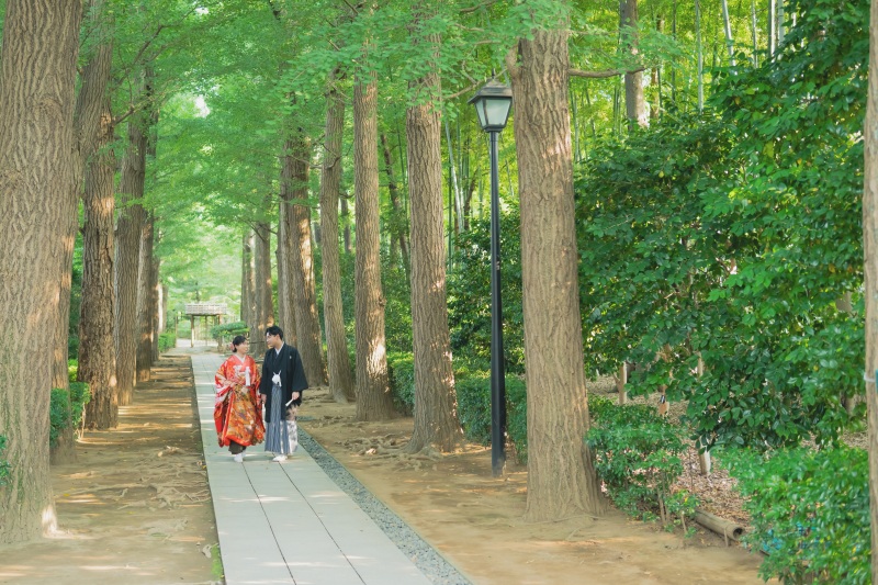 並木道で撮影!